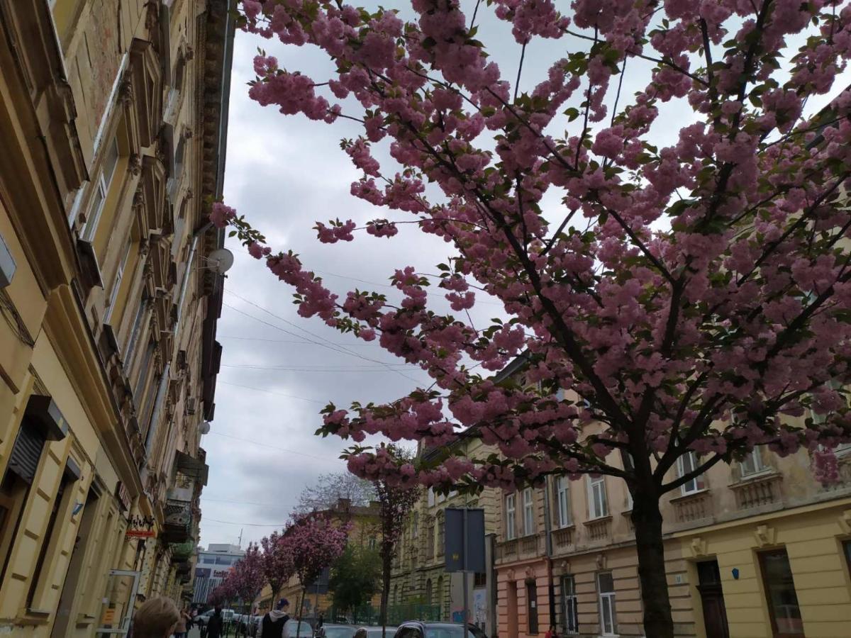 Apartment Blue Dreams Lviv Luaran gambar